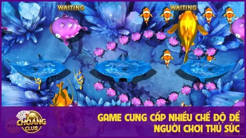 Bắn cá Tiểu Tiên Cá - Game giải trí dẫn đầu xu hướng 3 Game cung cấp nhiều chế độ để người chơi thử sức