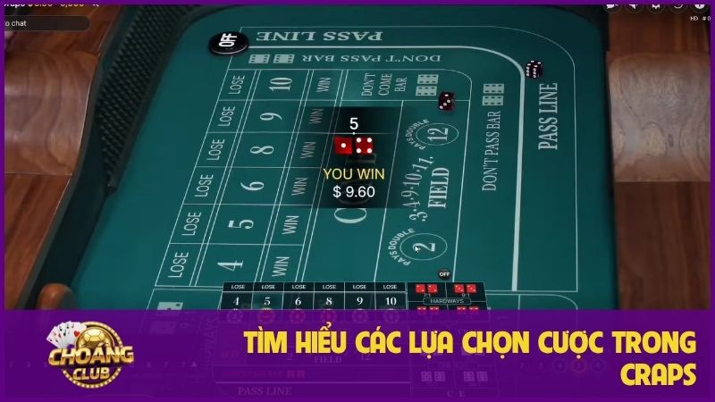 Live Craps là gì? Chi tiết luật chơi trò xúc xắc độc đáo 3 Tìm hiểu các lựa chọn cược trong Craps